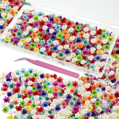 MARRTEUM 800 PCS Mini Dried Flowers for Resin - Include Tweezers, Small Tiny Natural Real Dried Pressed Flowers Art Bulk for Crafts Resin Nails, DIY Epoxy Earrings Jewelry Crafts, Soap Candles Making