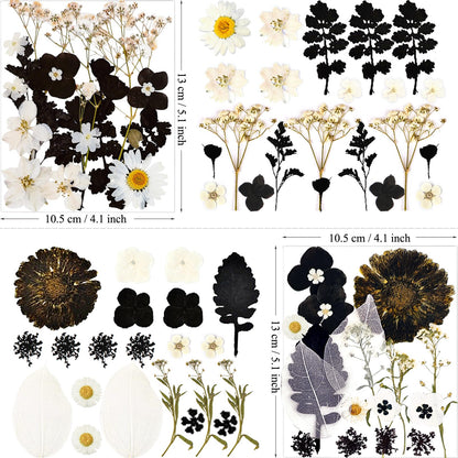 MIKIYA 84Pcs Black Dried Pressed Flowers for Resin Molds, Bulk Real Natural Dry Floral for DIY Art Crafts, Epoxy Jewelry, Candle, Soap Making, Nails Decor, Phone Case