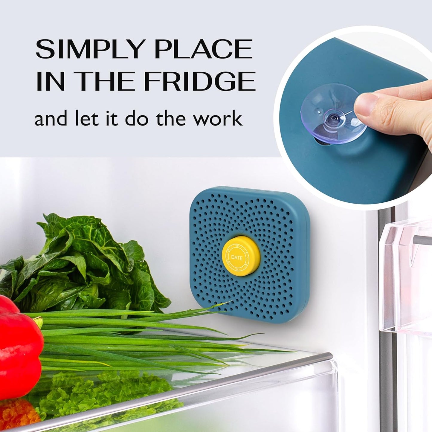 Fridge Deodorizer Odor Eliminator - Activated Charcoal Air Freshener for Refrigerator & Freezer, Natural Odor Absorber