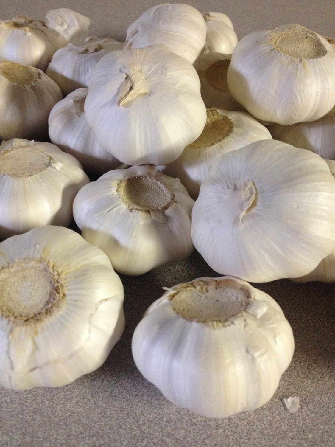Bulbs, Bulbs, 2 bulbs, Garlic Whole Garlic Ready For Planting or Preparing as a great flavoring for any dish. JACOBS