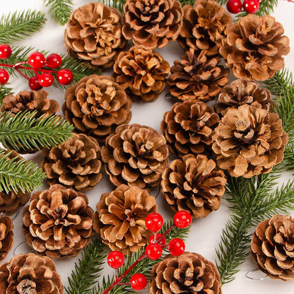 24PCS Christmas Natural Pine Cones,Rustic Pinecones with String for Crafts & Decorating Winter Xmax Holidays Vase and Table Bowl Fillers(Dia. 1.57-1.96 Inches)