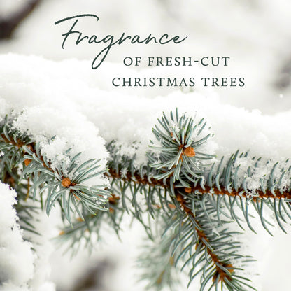 Thymes Frasier Fir Flocked Jar Candles – Holiday Scented Candles for Home with Notes of Crisp Siberian Fir, Cedarwood & Sandalwood – Luxury Home Decor Gifts for Women & Men (3-Wick, 18 oz)