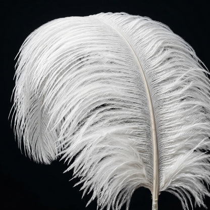 Lamar 10 Pcs XXL White Ostrich Feathers 20-22 Inch Large Ostrich Feathers with Thick Pole, Voluminous, High-Luster Perfect for Weddings, Centerpieces, DIY Decor, Photography