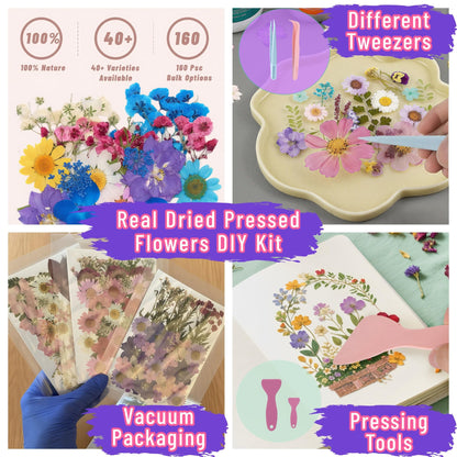 Tessera 160+ Pcs Real Pressed Flowers for Resin & Crafts - 4 Themed Dried Flower Sheets with 4-Piece DIY Tool Kit - for Resin Jewelry Making, Scrapbooking Supplies, Nail Art, Candle & DIY Gifts