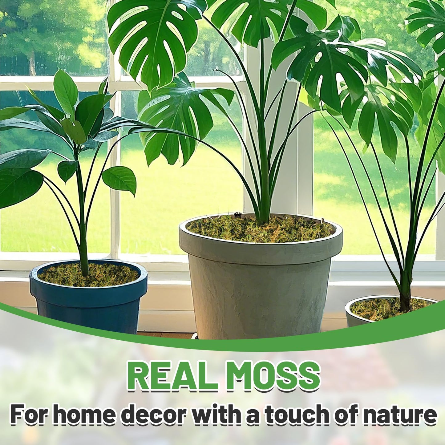 Alphatool 35oz Jumbo Pack Natural Green Moss for Crafts - Bulk Moss for Plants Indoor, Artificial Fairy Gardens, Mosswall, Filling Fake Plants, Floral Design, Home Decoration, Professional DIY Use