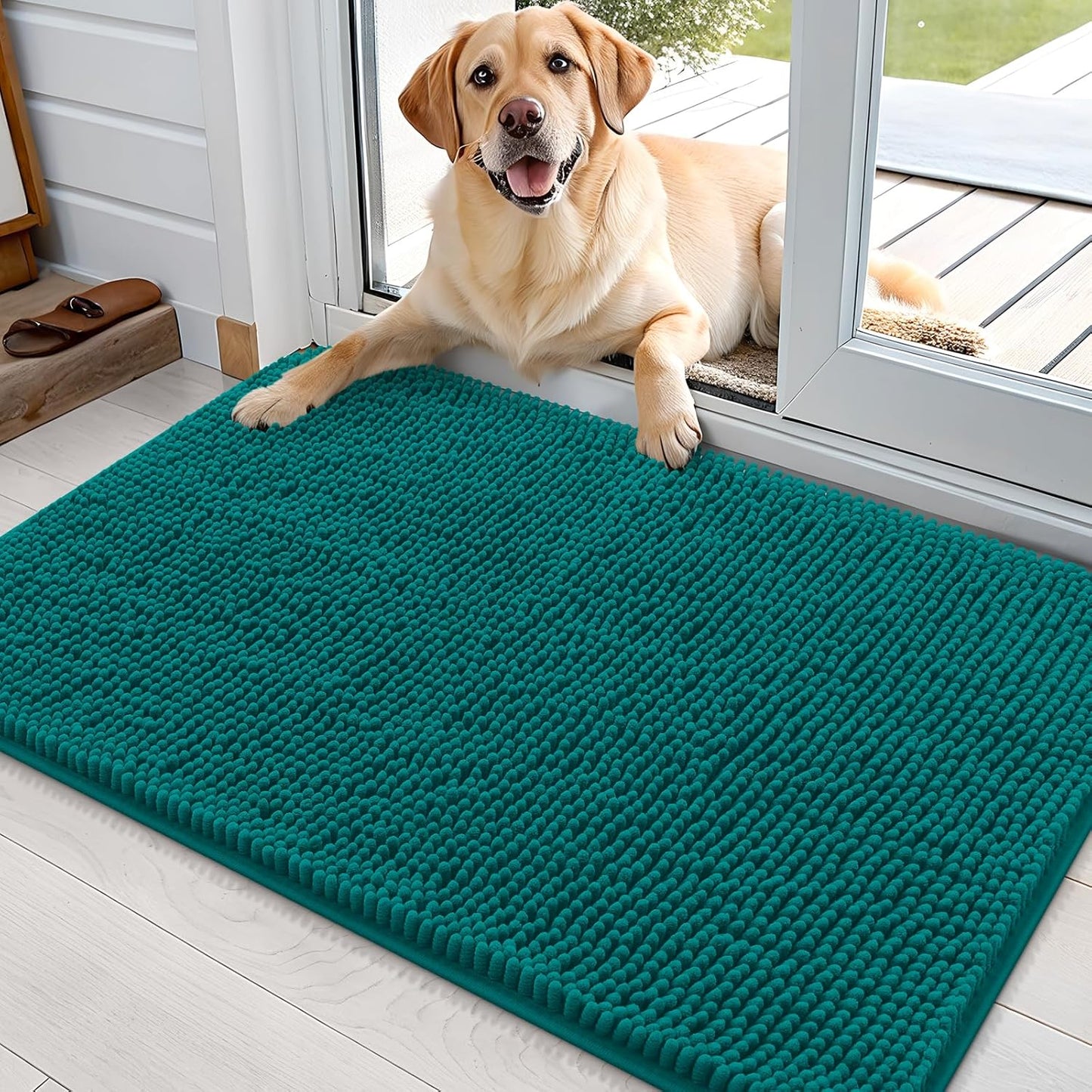 OLANLY Dog Door Mat - Absorbent Non-Slip Chenille Mat for Muddy Paws | 35x24, Quick Dry, Lake Blue