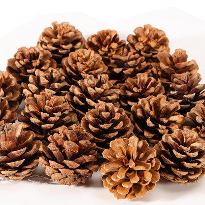 24PCS Christmas Natural Pine Cones,Rustic Pinecones with String for Crafts & Decorating Winter Xmax Holidays Vase and Table Bowl Fillers(Dia. 1.57-1.96 Inches)