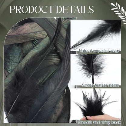 Suncalla 240 Pcs Rooster Feathers 4-6/10-12/12-14 Inches Craft Feathers for DIY Dream Catcher Crafts Sewing Holiday Costume Wedding Party Supplies and Home Decorations(Black)
