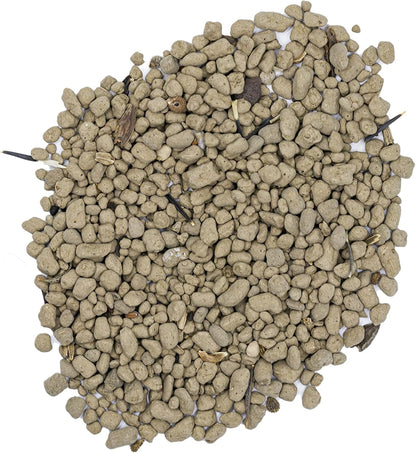 Zinnia Mix from Earth Science (2 lb), 3-in-1 Mix with Premium Wildflower Seed, Plant Food, Soil Conditioners, Non-GMO