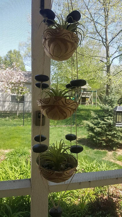 Artificial Air Plants, Faux Succulents Unpotted, Small Tillandsia Look Real in Flocked Green, Premium Crafting DIY