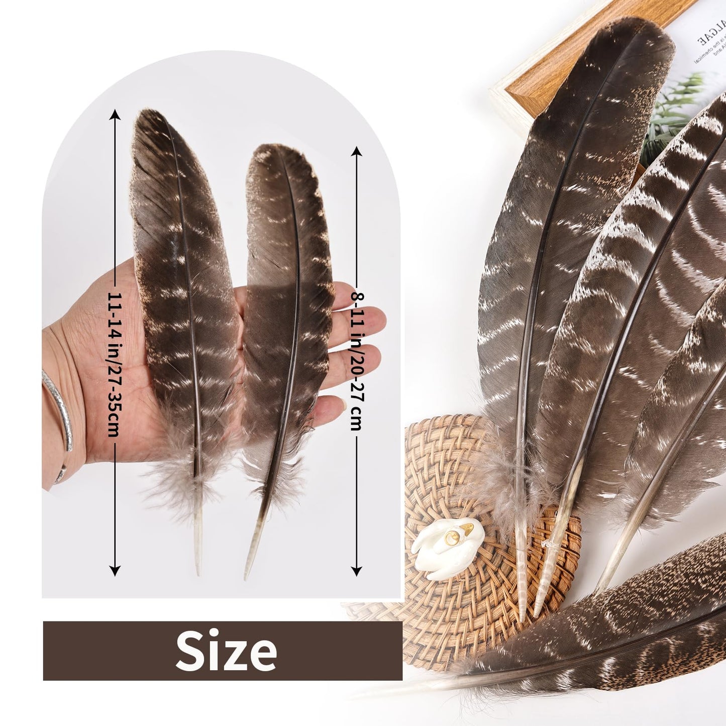 Natural Turkey Feathers, 30pcs 8-11 inch (20-27cm) Bulk Feathers for DIY Jewelry Hat Wedding Home Party Dream Catcher Supplies