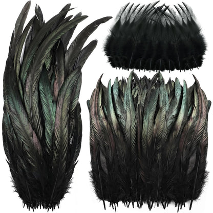 Suncalla 240 Pcs Rooster Feathers 4-6/10-12/12-14 Inches Craft Feathers for DIY Dream Catcher Crafts Sewing Holiday Costume Wedding Party Supplies and Home Decorations(Black)