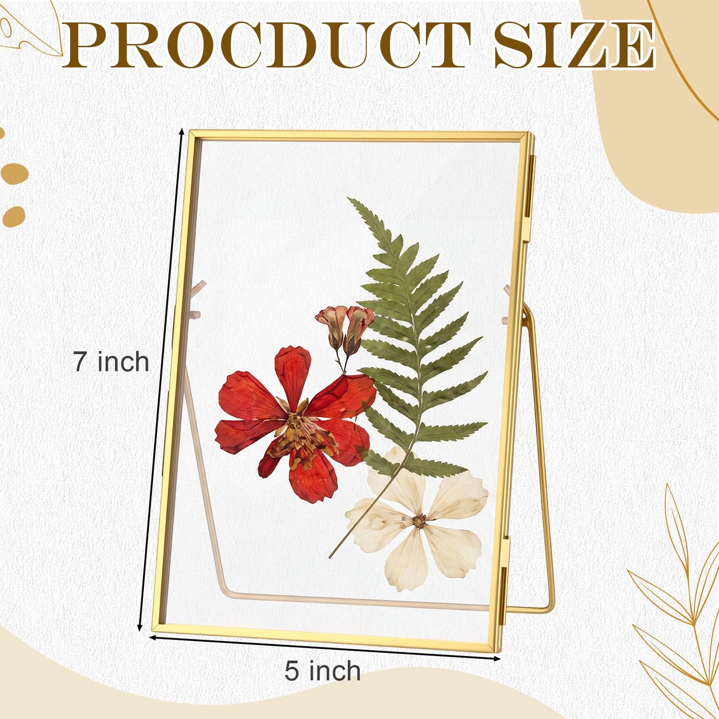 Vicenpal 5 Pack Glass Pressed Flower Frame Handmade, 5 x 7 floating Picture Frames for Pressed Flowers, Brass Double Glass for Tabletop Display, Home Office Plant Specimen, Photos(Gold)