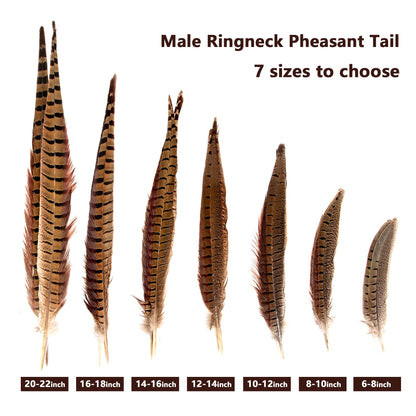 20pcs Male Pheasant Feather Natural Ringneck Tails Feathers 12-14inch 30-35cm for Crafts Home Wedding Party Performance DIY Decoration Pheasant Feather,Male Pheasant Feathers