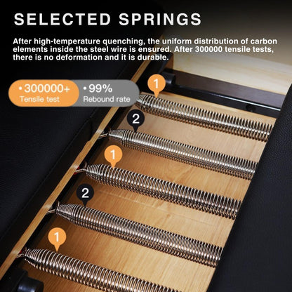 BIOCOR MAX4.0 Pilates Reformer, Wood Pilates Machine with Pilates Ring, Yoga Bands & Jumpboard, High-Resistance Springs, Foldable Pilates Equipment for Home Workouts up to 800 lbs Weight Capacity