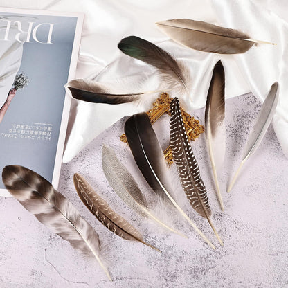 iHUFeather 120pcs Natural Pheasant Feathers Bulk Spotted Feathers 10 Styles Mixed Feathers for Crafts DIY Hat Floral Arrangements Wedding Home Decorations