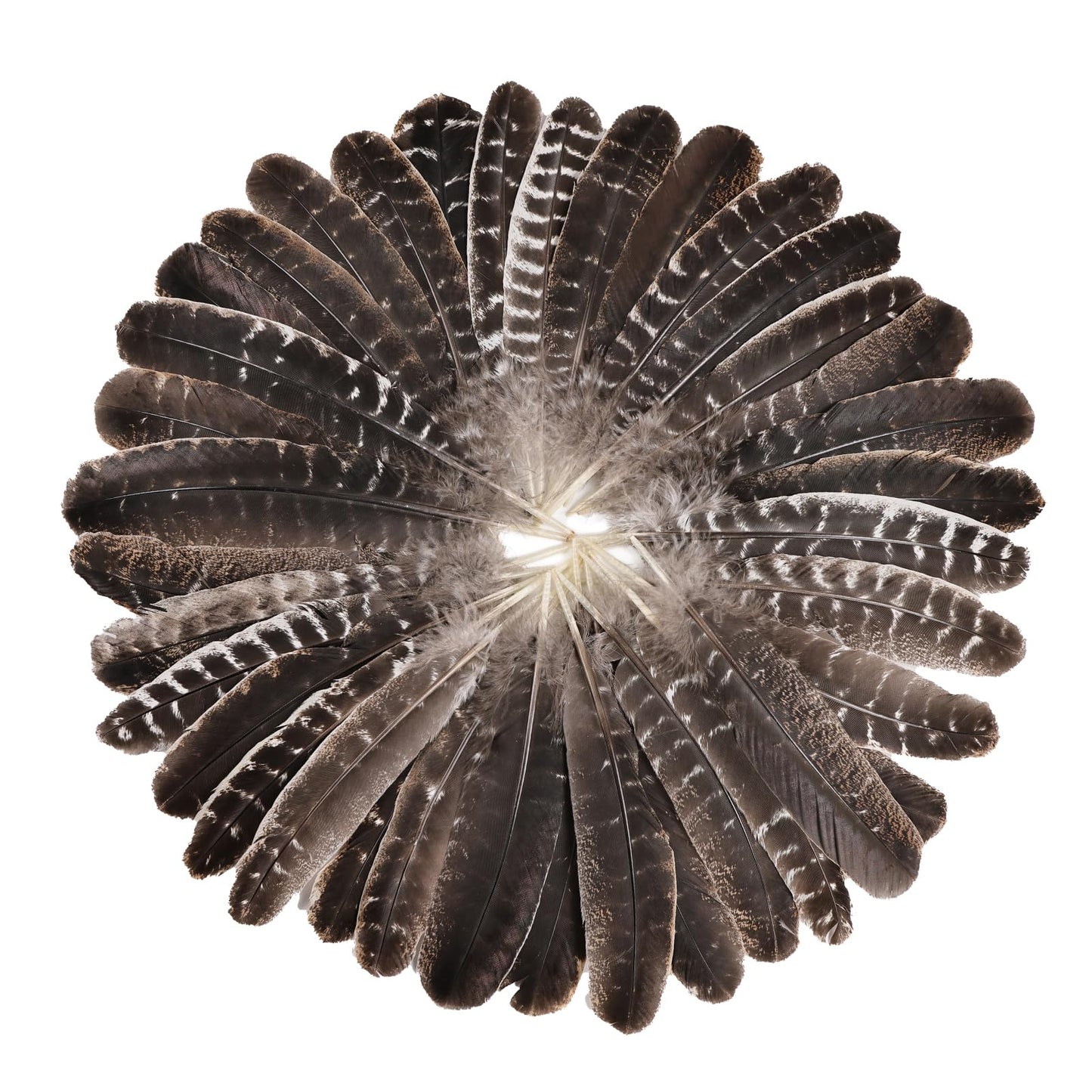 Natural Turkey Feathers, 30pcs 11-14 inch (27-35cm) Bulk Feathers for DIY Jewelry Hat Wedding Home Party Dream Catcher Supplies