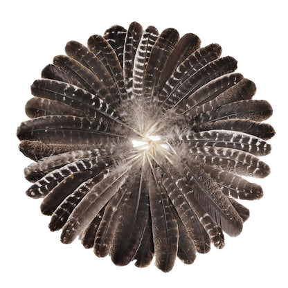 Natural Turkey Feathers, 30pcs 11-14 inch (27-35cm) Bulk Feathers for DIY Jewelry Hat Wedding Home Party Dream Catcher Supplies