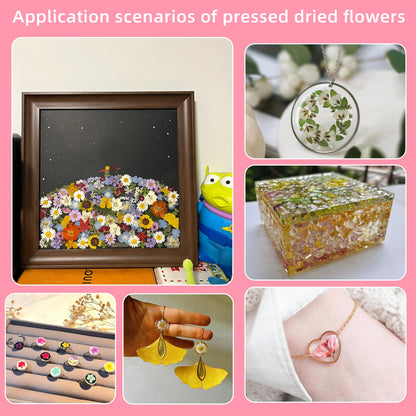 Botanical Pressed Flower Set – Real Dried Flowers & Leaves for Resin Art, Scrapbooking, Candle Making, and DIY Nature Crafts