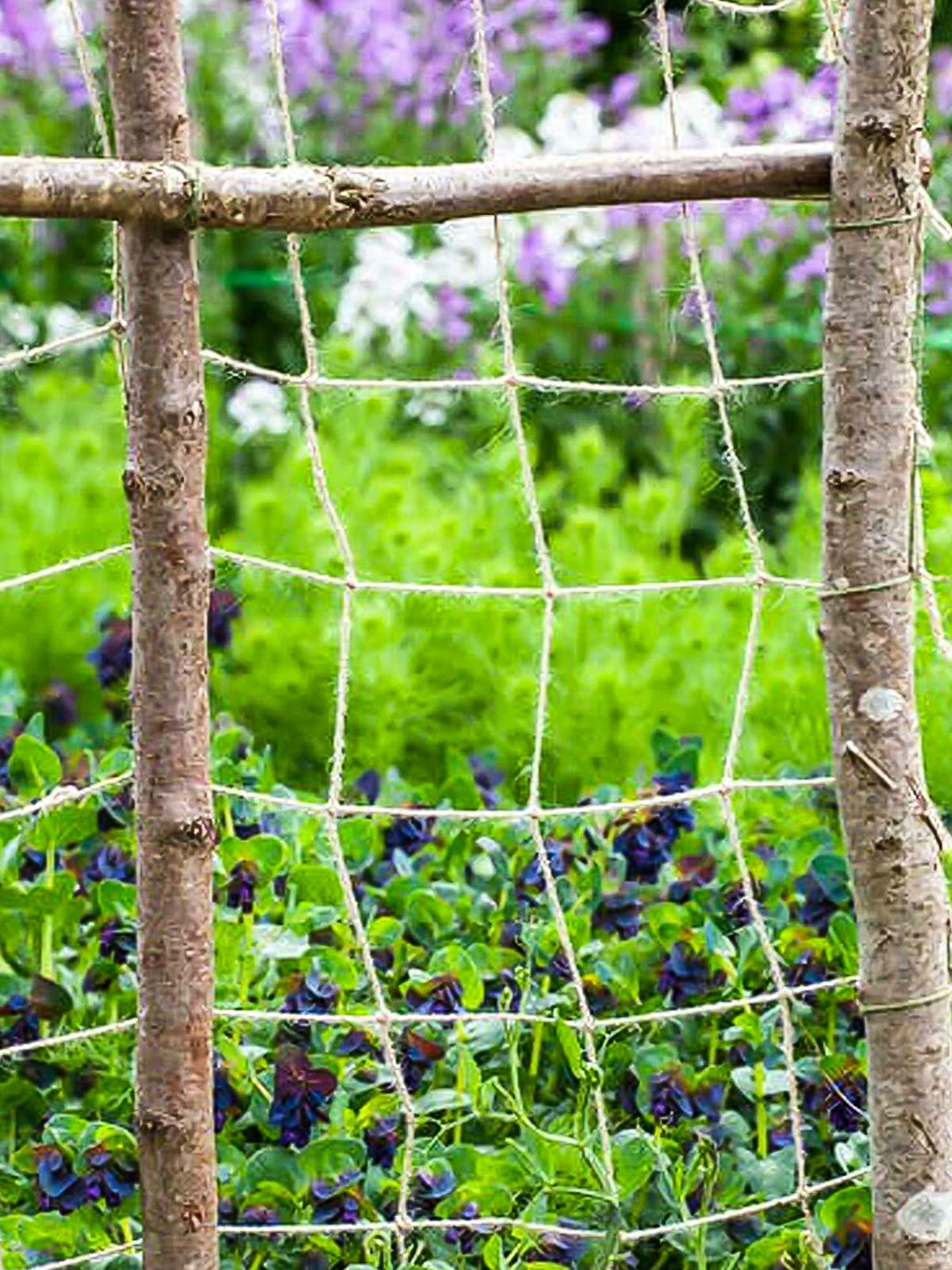 Jute Twine Trellis Netting Heavy Duty Climbing Plant Support Net for Outdoor Garden Vine Plants and Wall Decoration (2 x 3m / 78.7 x 118.1in)