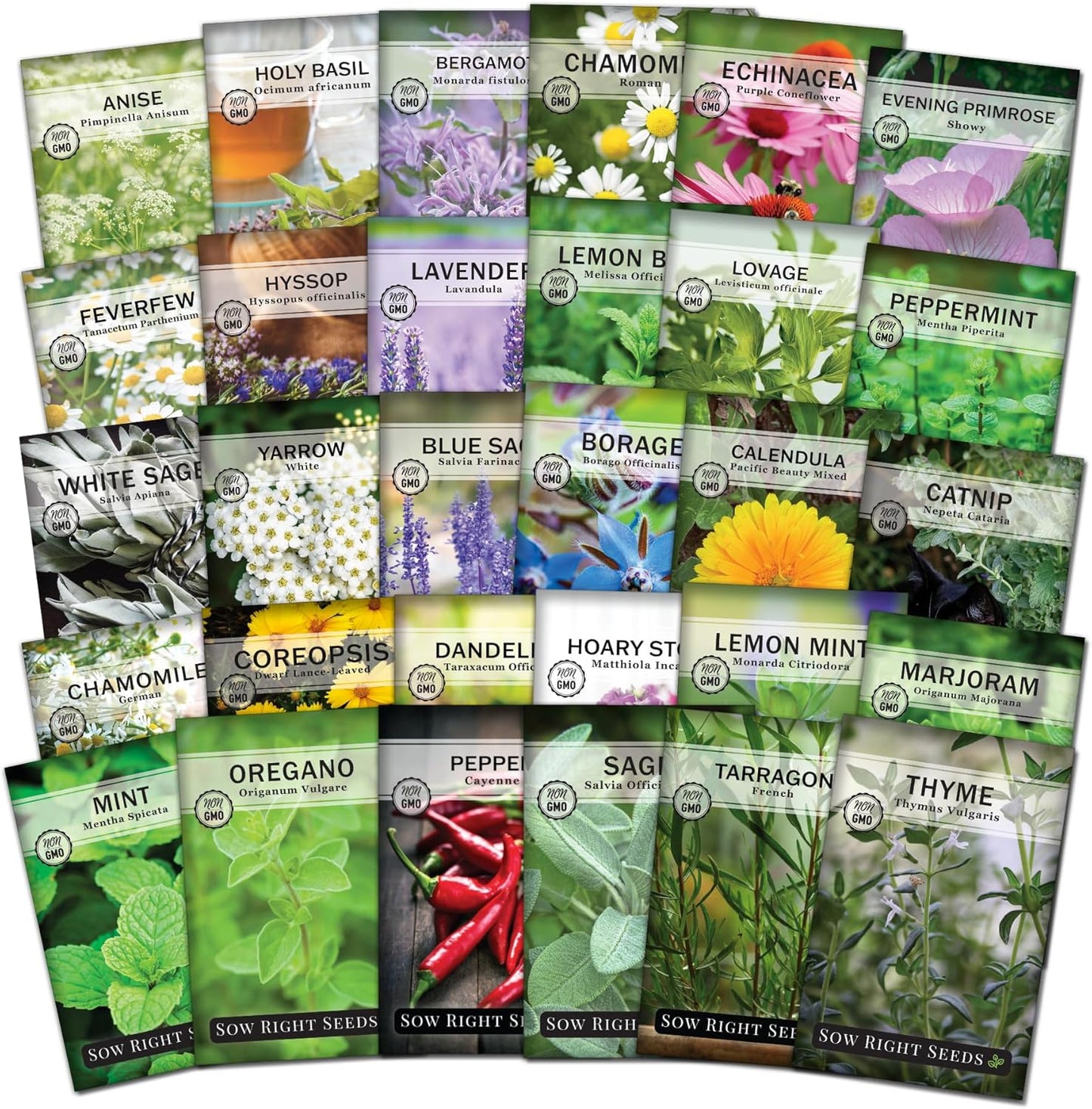 Sow Right Seeds - Extra Large Medicinal Herb Seed Collection for Planting - Lemon Balm, Lavender, Yarrow, Echinacea