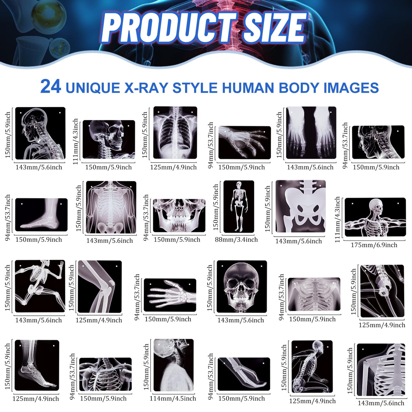 4 Strings X-Ray Skeleton Banner Decorations, Pre-Strung Medical Radiology Anatomy Garland with 24 X-Ray Body Part Images for Doctor Nurse Graduation, Halloween Party, Clinic Classroom Science Décor