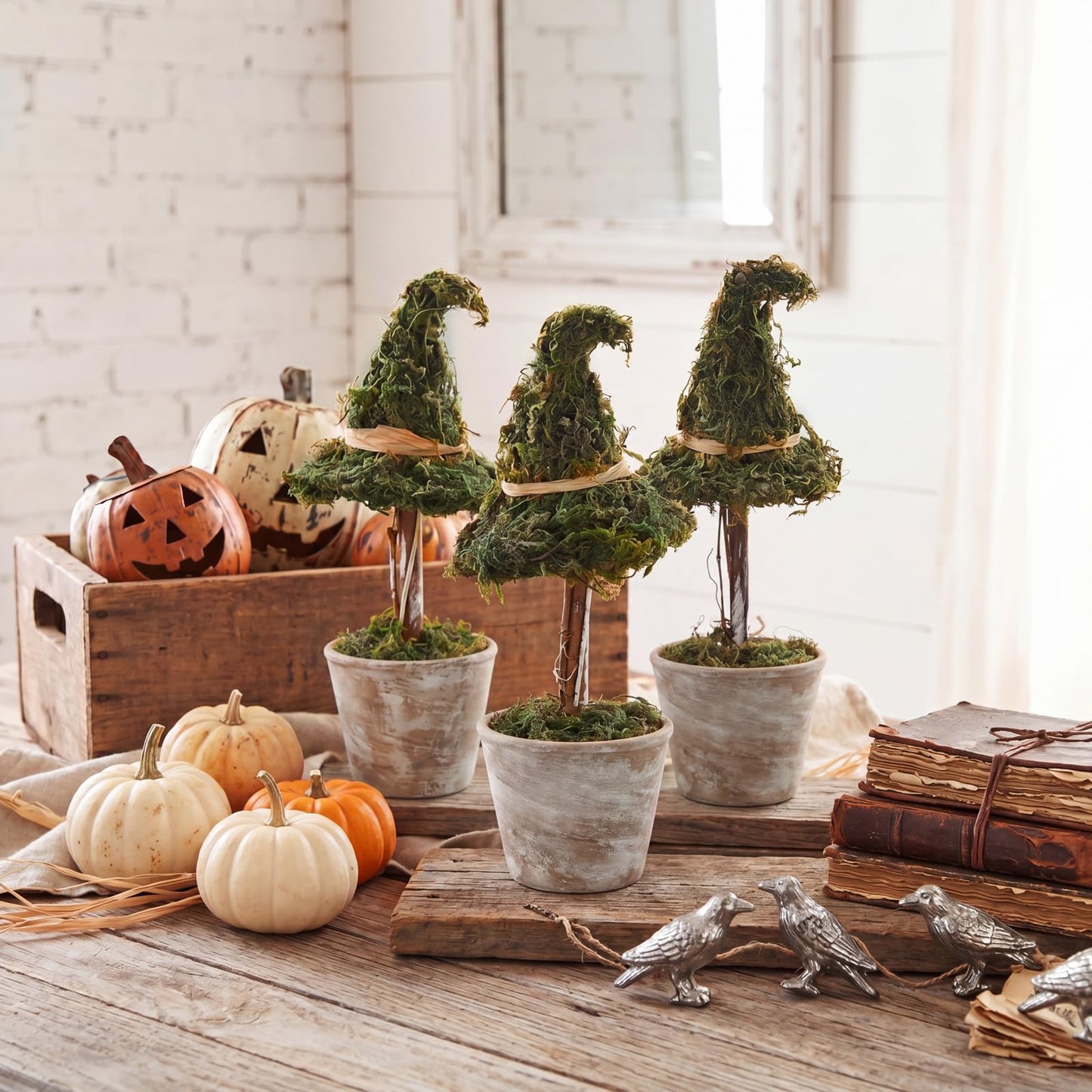 Thiccywoov 3 Pcs Halloween Witch Hat Topiary Plant with Pot Fake Small Moss Halloween Decorations Rustic Farm Witch Hat Plant Pot Tabletop Centerpiece for Home Bedroom Tiered Tray Decor Gifts 8.6inch