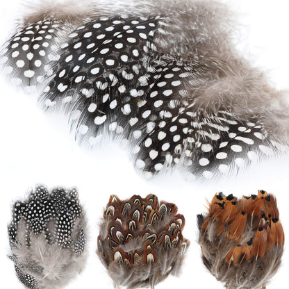 MWOOT 300PCS Spotted Chicken Feathers Natural Pheasant Plumage Feathers for DIY Crafts, Clothing, Jewelry, Wedding, Birthday Party, Dream Catcher Decoration