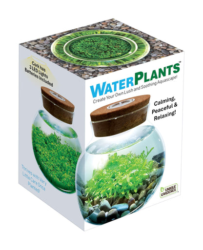 WaterPlants- Create Your Own Lush and Soothing Aquascape Terrarium Starter Kit, Indoor Plant Glass Globe Terrariums with Powerful 3 LED Light and Complete Supplies, Just Add Water!