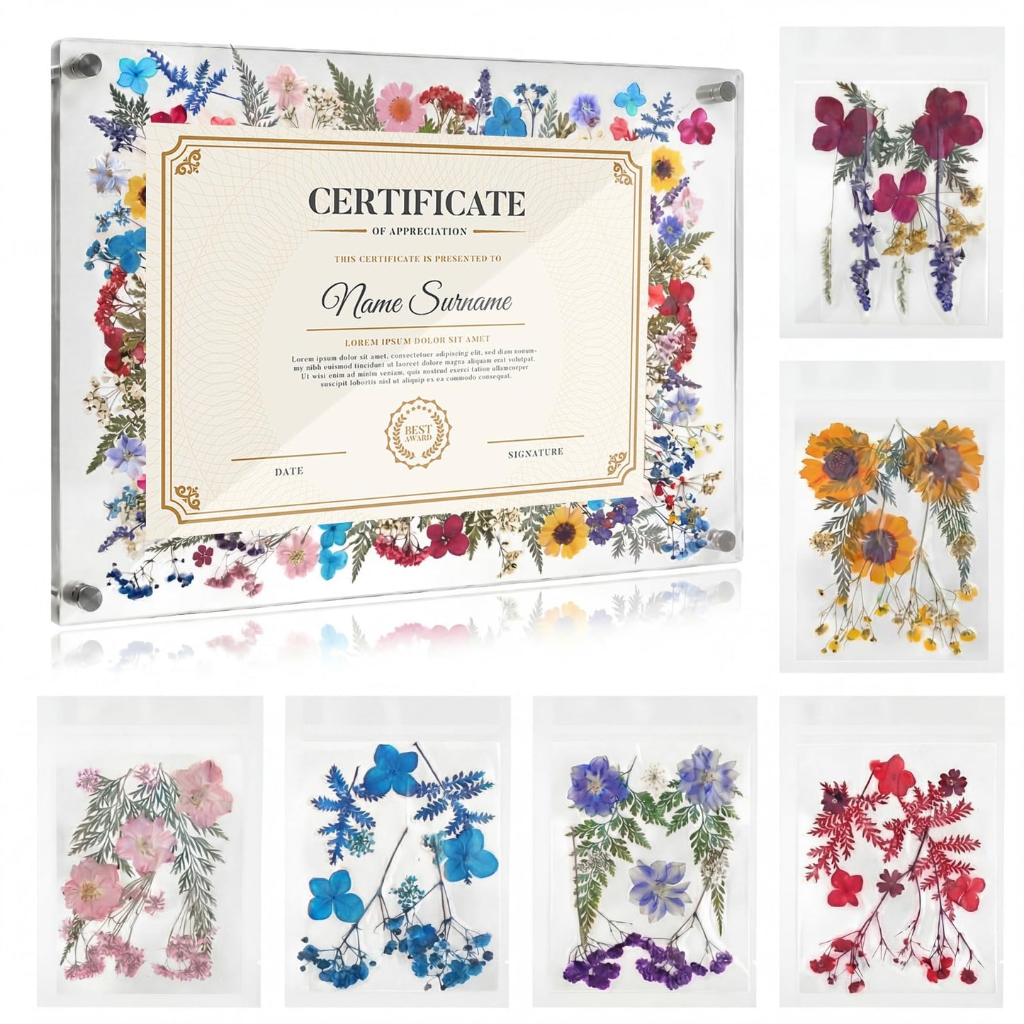 AmazingSpark 1 Set Pressed Flower Diploma Frame Floating Frameless Clear Acrylic Wall Mount Picture Frame, 24 Nano Strip 6 Color Pressed Flower for Certificate Degree Artwork (11x14'',Colorful)