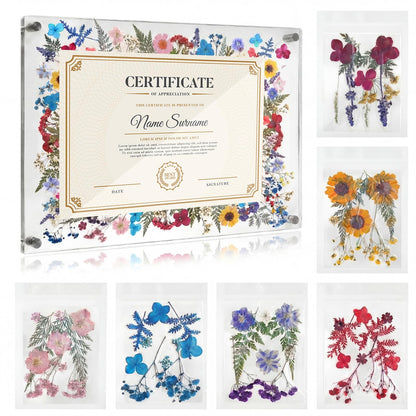 AmazingSpark 1 Set Pressed Flower Diploma Frame Floating Frameless Clear Acrylic Wall Mount Picture Frame, 24 Nano Strip 6 Color Pressed Flower for Certificate Degree Artwork (11x14'',Colorful)