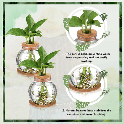 12 Packs Baderke Propagation Vases for Plants Plastic Plant Propagation Station with Hole Lid and Cork Coasters Plant