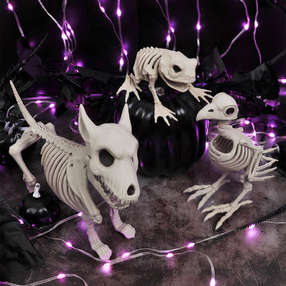 HRONG 3PCS Animal Skeleton Figurines, Plastic Skeletons Dog Crow Frog Ornaments, Halloween Skeleton Decorations for Home Office Desk, Spooky Party Favors & Gifts for Men Women