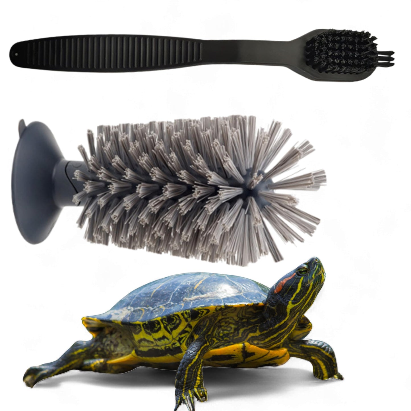 Turtle Shell Cleaning Suction Brush Tank, Turtle Scratcher for Tank Shell Cleaner with Suction Cup and Handheld Back Scratcher Remove Mud Dirt, Tortoise Habitat Accessories (Gray)