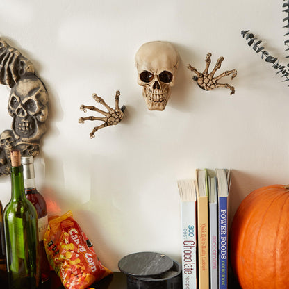 Dragon Crest Skeleton Wall Decor Set 3.87x3x5.75