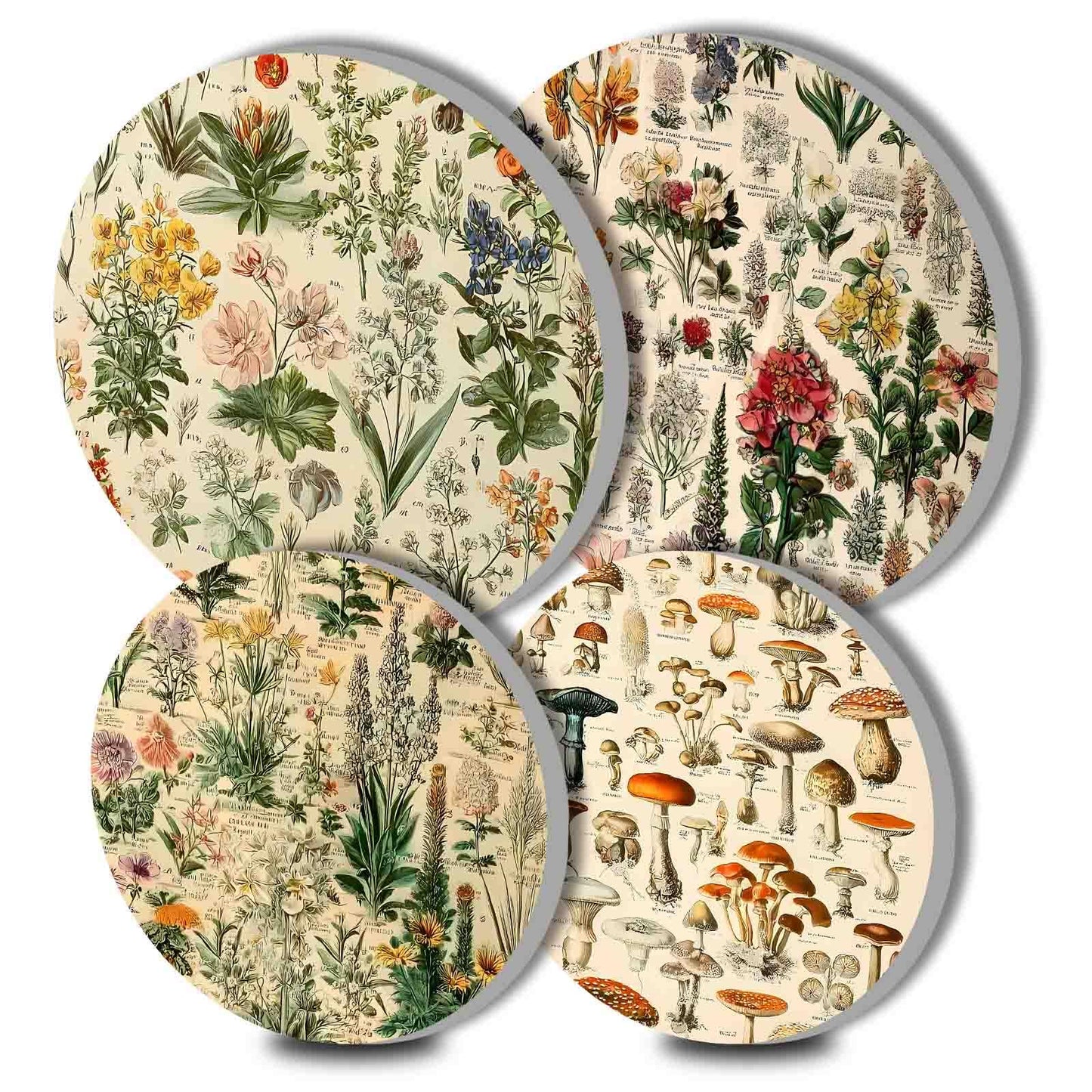 TUMOVO Wildflowers Botanical Science Art Stove Burner Covers Set of 4,Stove Top for Gas Burners,Mushroom Collection Pattern Electric Stove Covers,Metal Stove Burner Cover Gilt(Brown),10''Wx10'H