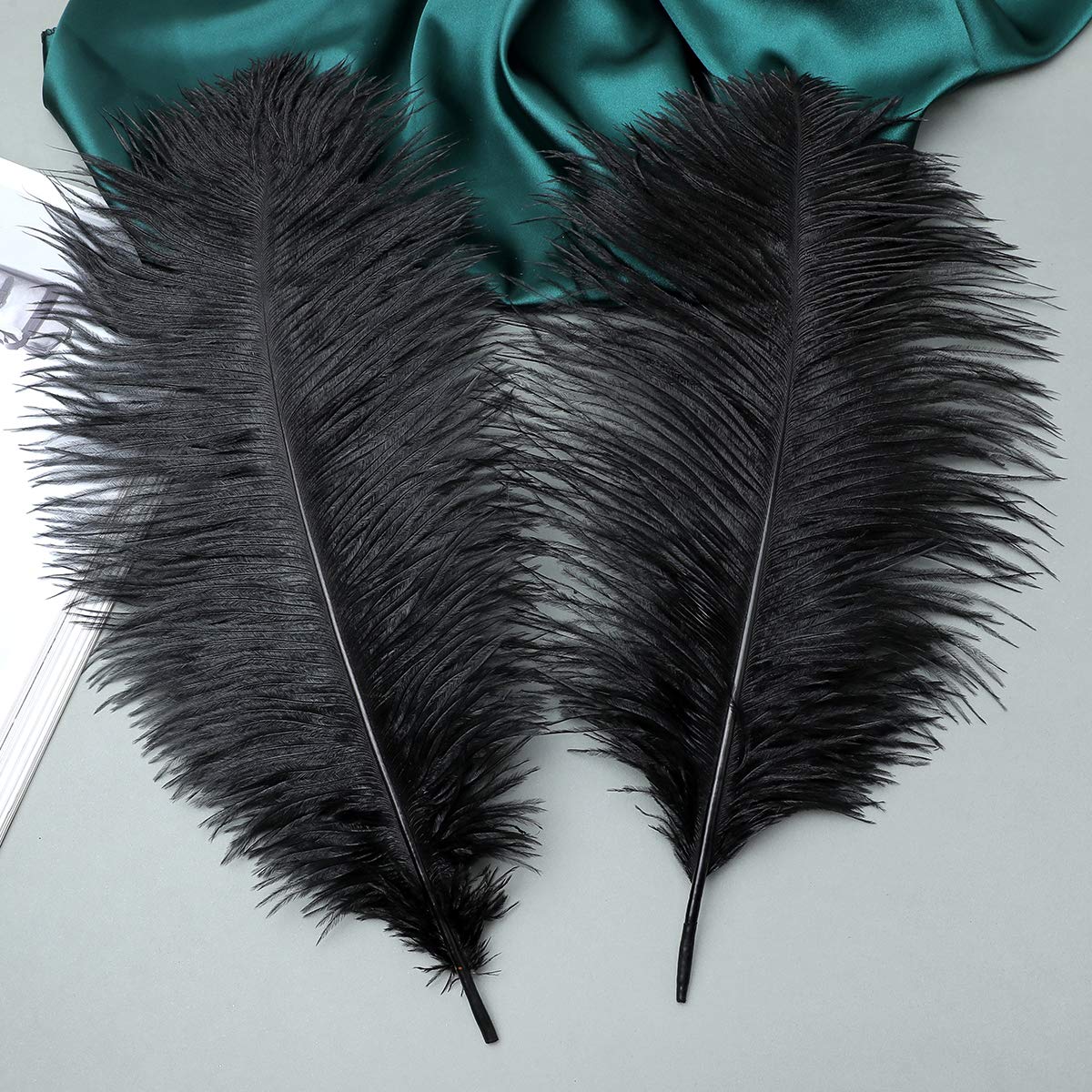 Ballinger 8-12inch 4 Styles 24Pcs Assorted Pheasant Feathers and 24 Pcs 10-12inch Black Ostrich Feaathers for Crafting Vase Hat Wedding Autumn Party Decor