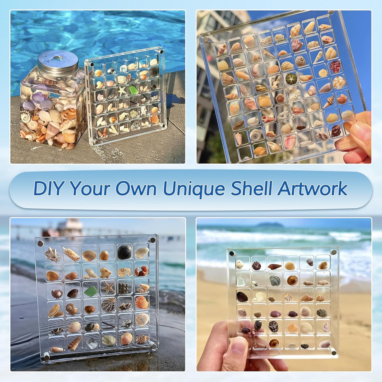 Acrylic Magnetic Seashell Display Box, Decorative Storage Case for Seashells, Trinkets, and Small Craft Organizers