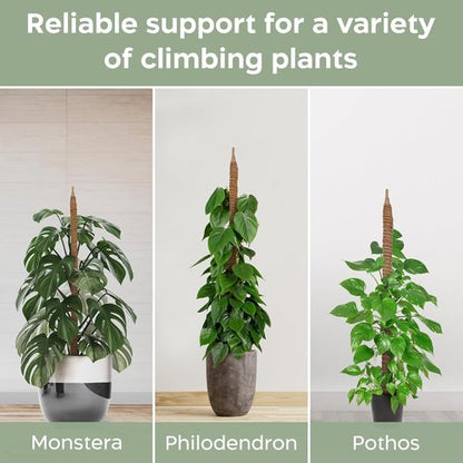 K-Brands 3 Pack Bendable Moss Pole | 48'' & 28'' Monstera Plant Support for Indoor Climbing Plants