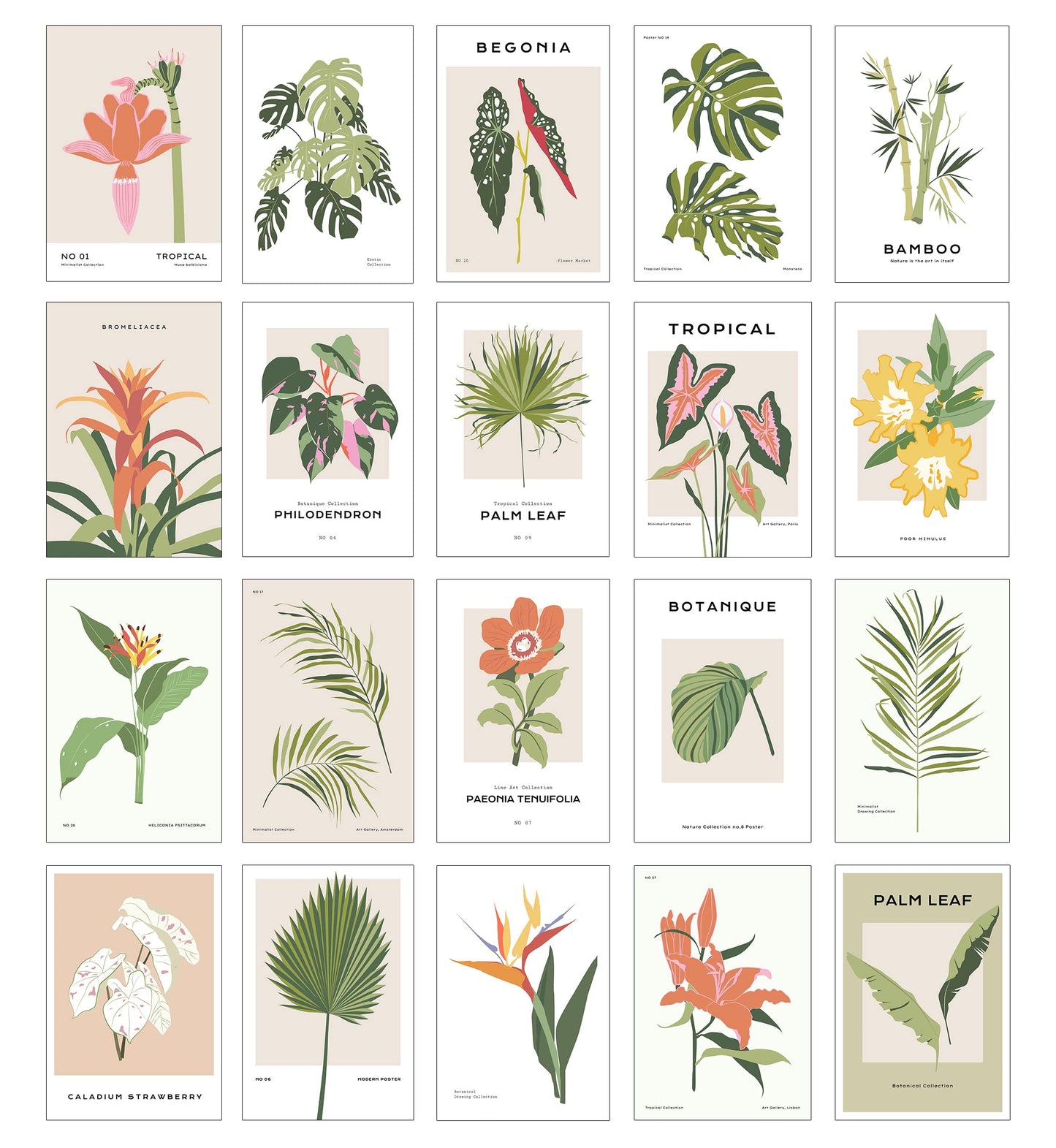 20 Piece Tropical Graphic Garden Flower Floral Collage Kit - Art Boheme, Palm Plants Minimalist, Teen Room Wall, Dormitory Bedroom Decorations, Aesthetic, 4x6 Professional Photos