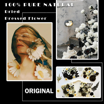 MIKIYA 90Pcs Black Pressed Dried Flowers for Resin Molds, Real Natural Bulk Dry Floral Leave for DIY Art Crafts, Epoxy Jewelry, Candle, Soap Making, Nails Decors Gifts