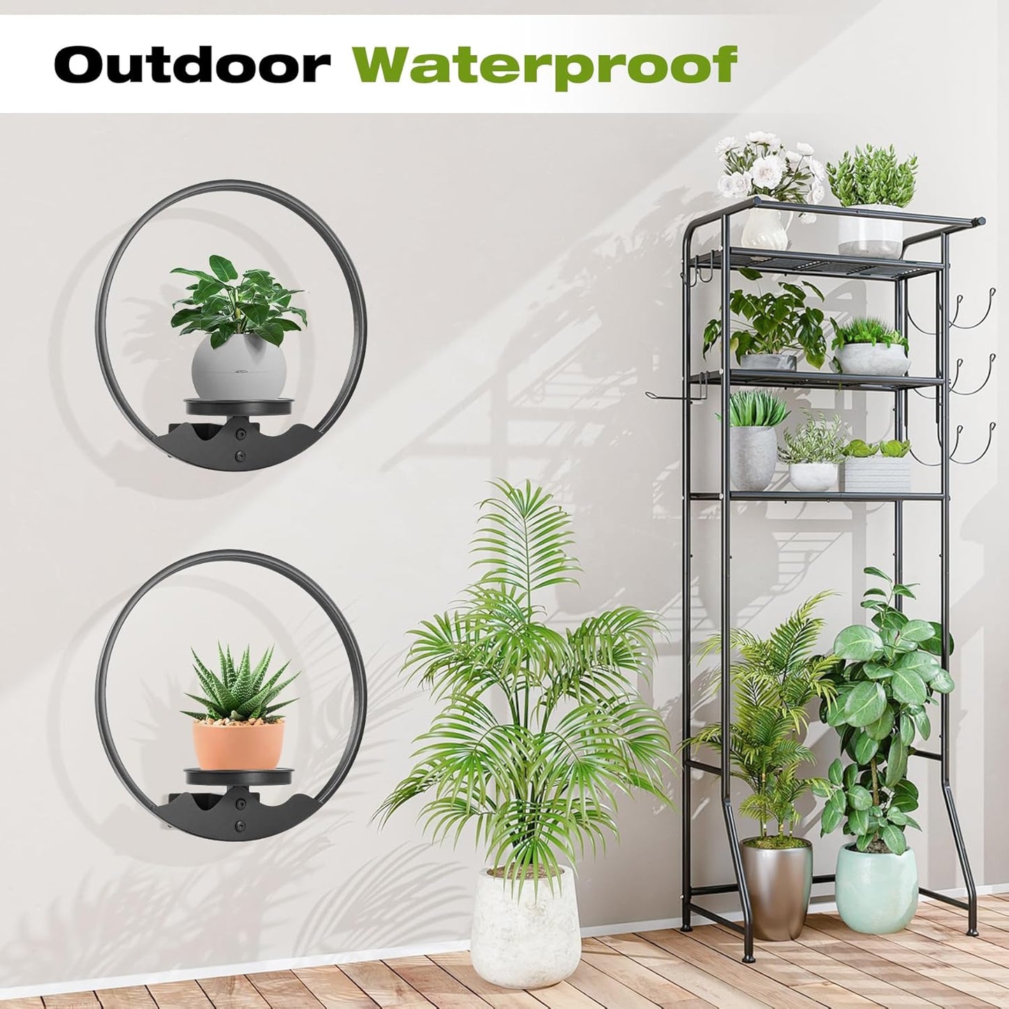 3 Pack Round Picture Frame Wall Plant Holder Black Wall Hanging Planters Metal Window Plants Shelf Plant for Indoor