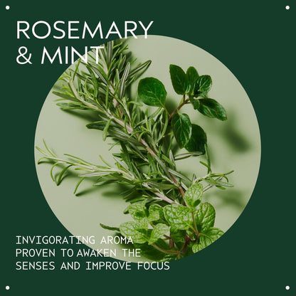 Aveda Rosemary Mint Vegan Soy Wax Candle | Invigorating Aroma of Certified Organic Peppermint, Spearmint, Rosemary | 100% Naturally Derived*