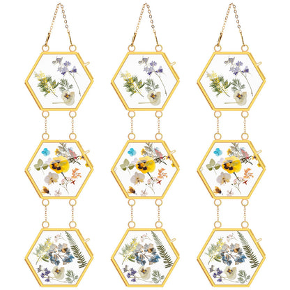 Marsui 3 Set Double Glass Frame Collage For Pressed Flowers with 9 Pcs 4 x 3 Inch Openings Gold Hanging Glass Floating Photo Frames for Artwork Display Photo Modern Home Wall Decor