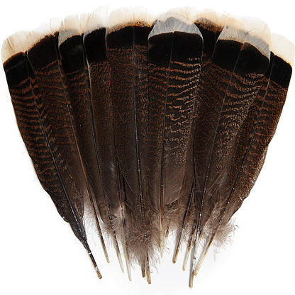 THARAHT 24pcs Natural Wild Turkey Tails Feathers Quill Bulk 10-12inch 25-30cm for DIY Crafts Project Collection Wedding Decoration Wild Turkey Tails Feather
