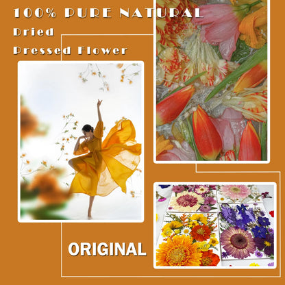 MIKIYA 98Pcs Pressed Dried Flowers for Resin Molds, Real Natural Bulk Big Dry Floral Leave for DIY Art Crafts, Epoxy Jewelry, Candle, Soap Making, Nails Decors