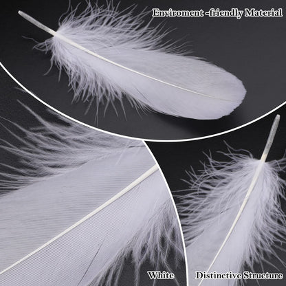 MWOOT 4 Styles Assorted Crafts Feathers (White)