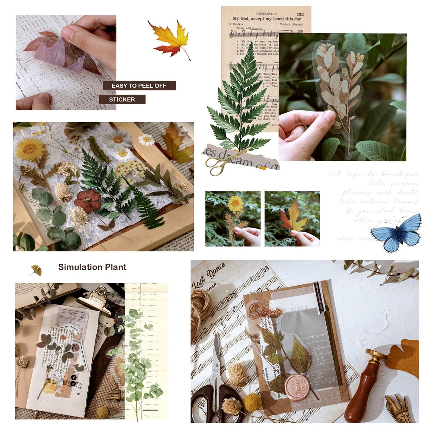Maxleaf Botanic Series Sticker, 80PCS Large Dried Flowers Waterproof Transparent Stickers, PET Nature Plant Floral Stickers for Journaling Scrapbooking, Clear Flower Decals