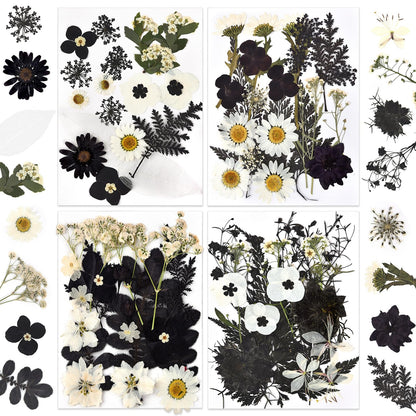 DALARAN Black Dried Pressed Flowers for Resin Molds, Bulk Real Natural Dry Floral for DIY Art Crafts, Epoxy Jewelry, Candle, Nails Decor, Phone Case,Soap Making