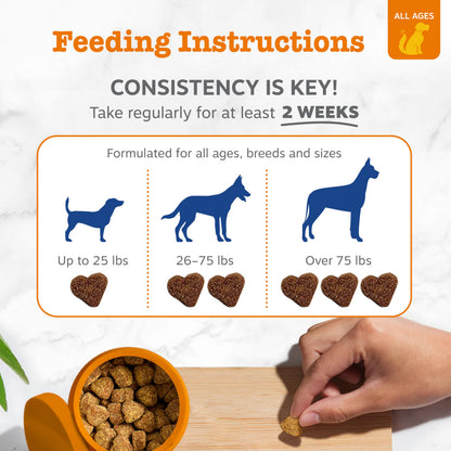 Zesty Paws Dog Multivitamin, Chewable Dog Vitamins and Supplements for Hip & Joints, Skin & Coat, Omega 3 Fish Oil for Dogs- Senior & Puppy Multivitamin- Chicken- 90ct